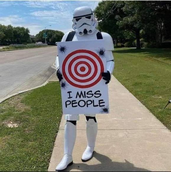 Meet your Posher, Levi - Picture 1 of 1